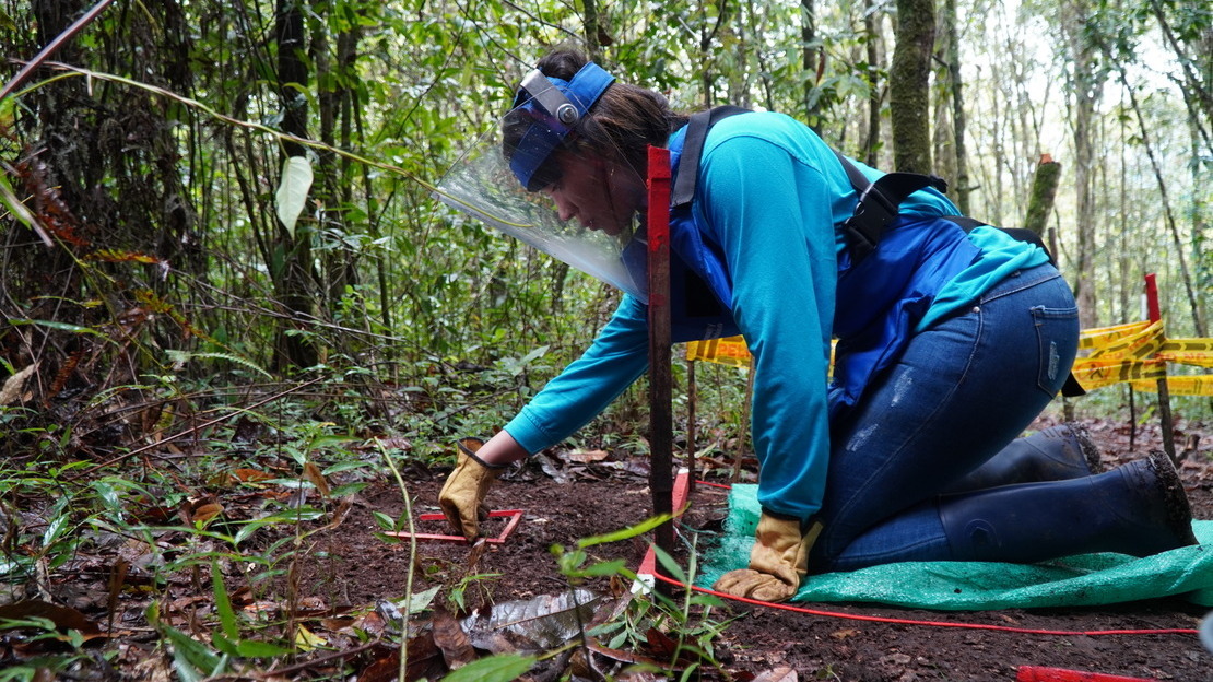 In the humid region of the Inzá Mountains, a deminer carries out mine clearance operations in a contaminated area. Cauca Department, Colombia.