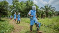Members of the HI / AFRILAM demining team near Kisangani, DRC 