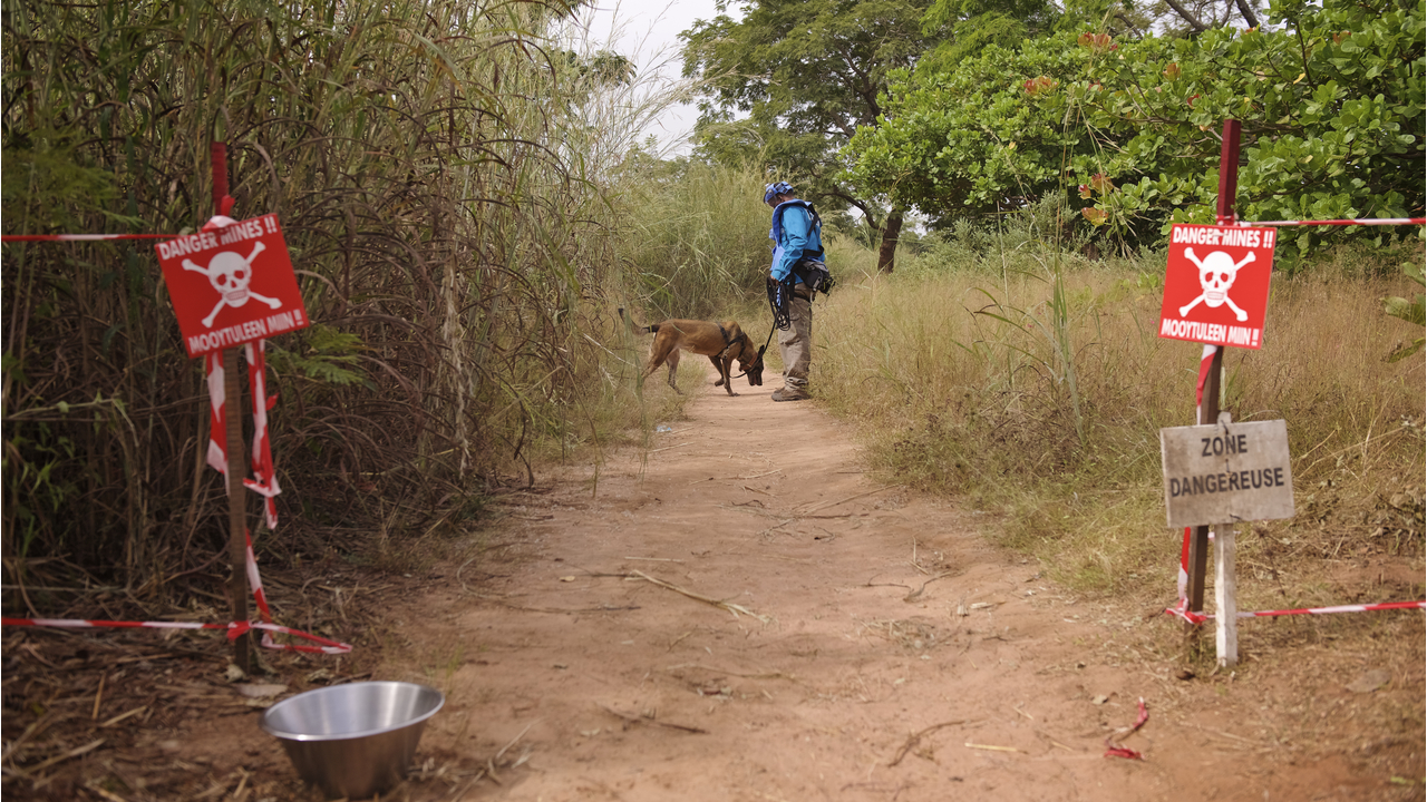  Jonathan Matambo, dog handler and deminer and Katja, mine detection dog in Diagnon.