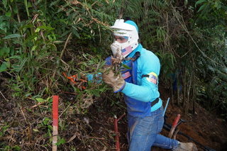 A deminer working in the Santander de Quilichao area, May 2022. © J. M. Vargas / HI