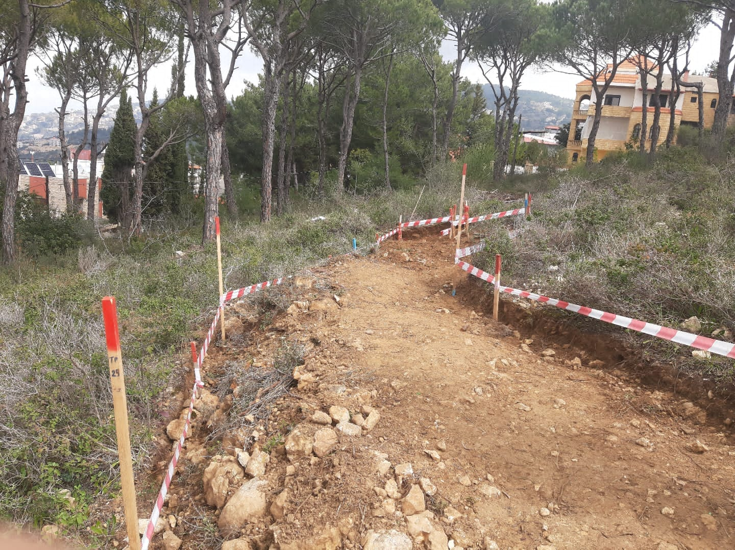 Dirt road among trees, outlined and marked by red and white tape 