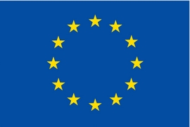 European Union flag