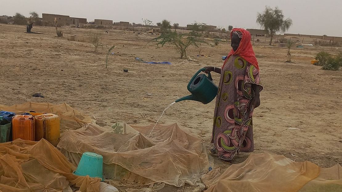 Fadimata waters her garden. 