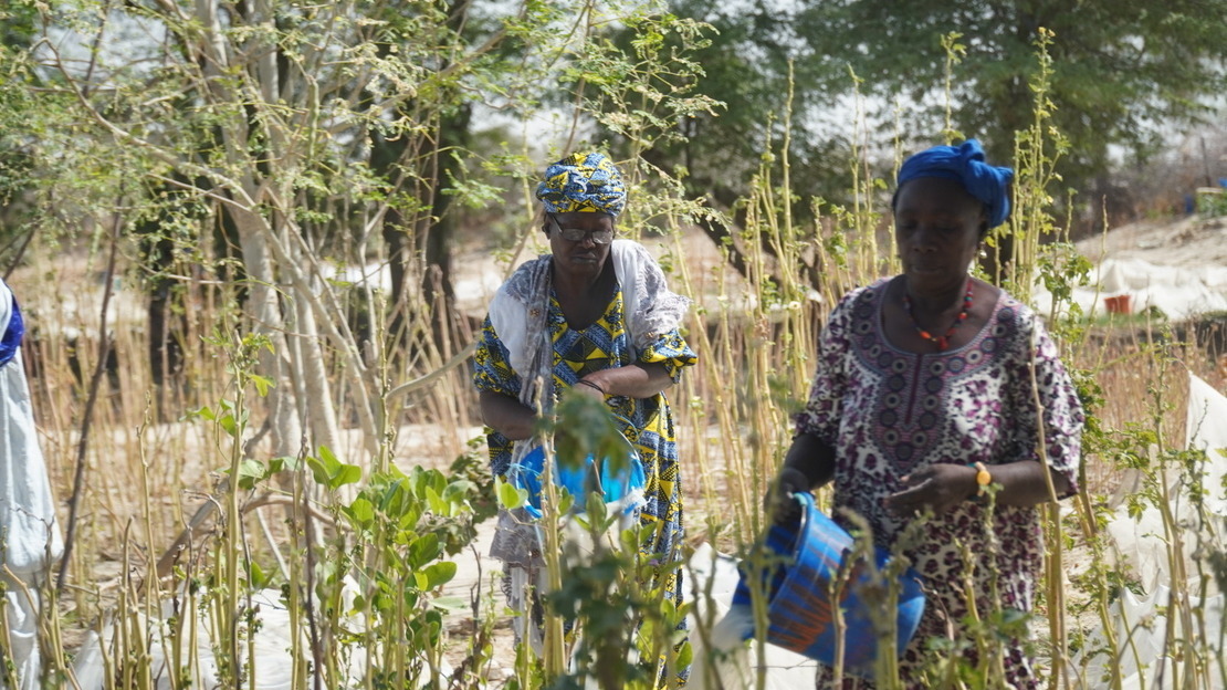 Two women watering their gardens.