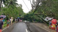 Consequences of typhon Mangkhut in Visayas