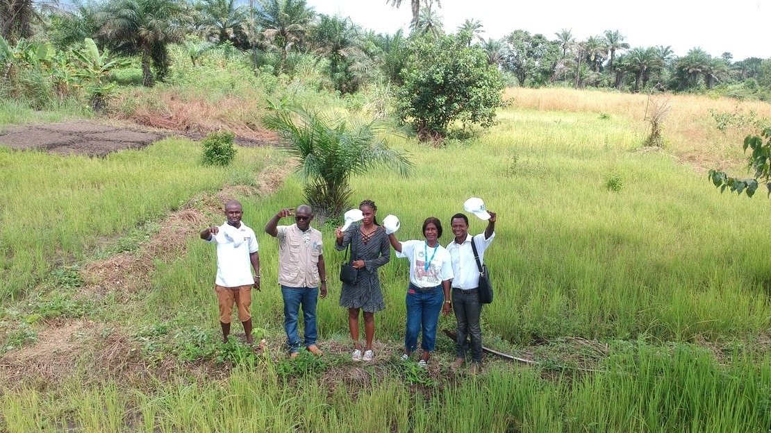 5 HI staff stand in a field, waving at the drone as it takes a bird's-eye view of them.
