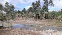 Damage caused by Typhoon Mangkhut