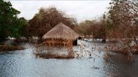 ARCHIVE IMAGE : floodings in Mozambique in January 2000.