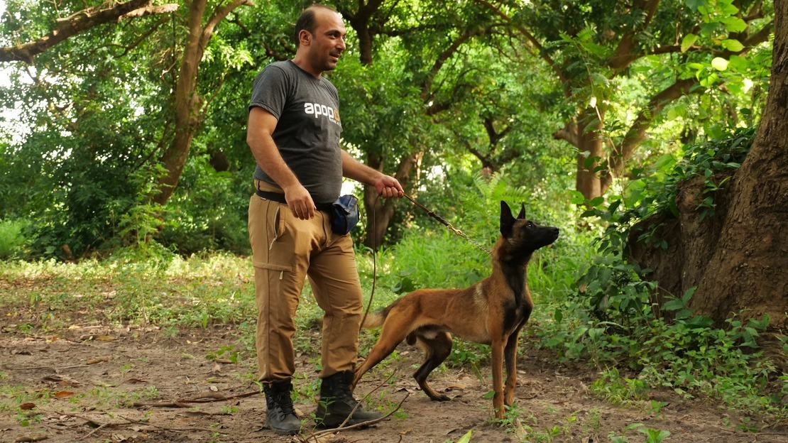 Basher holds Storm's leash with his left hand. The dog, upright, nose to the wind, seems to have detected something.