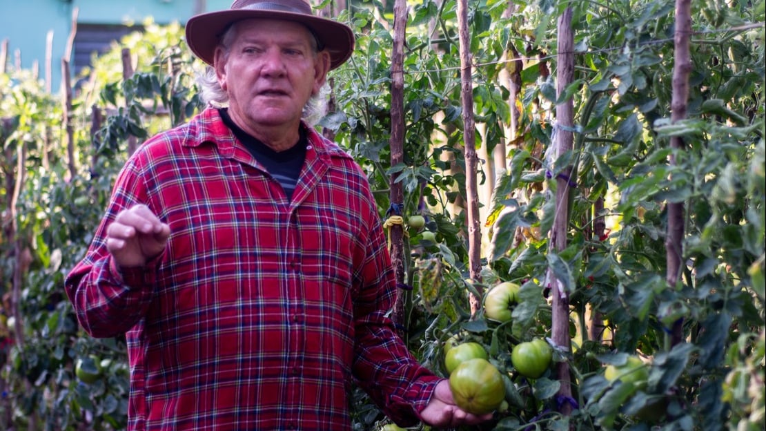 In Cuba, HI promotes inclusive food sovereignty