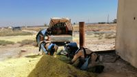 Mine Action Team clearing contaminated agricultural land in Syria.