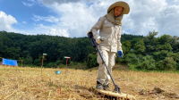 Vannaly Pheng, a deminer with HI for 2 years. She is clearing a rice field near a village in northern Laos. October 2023. 