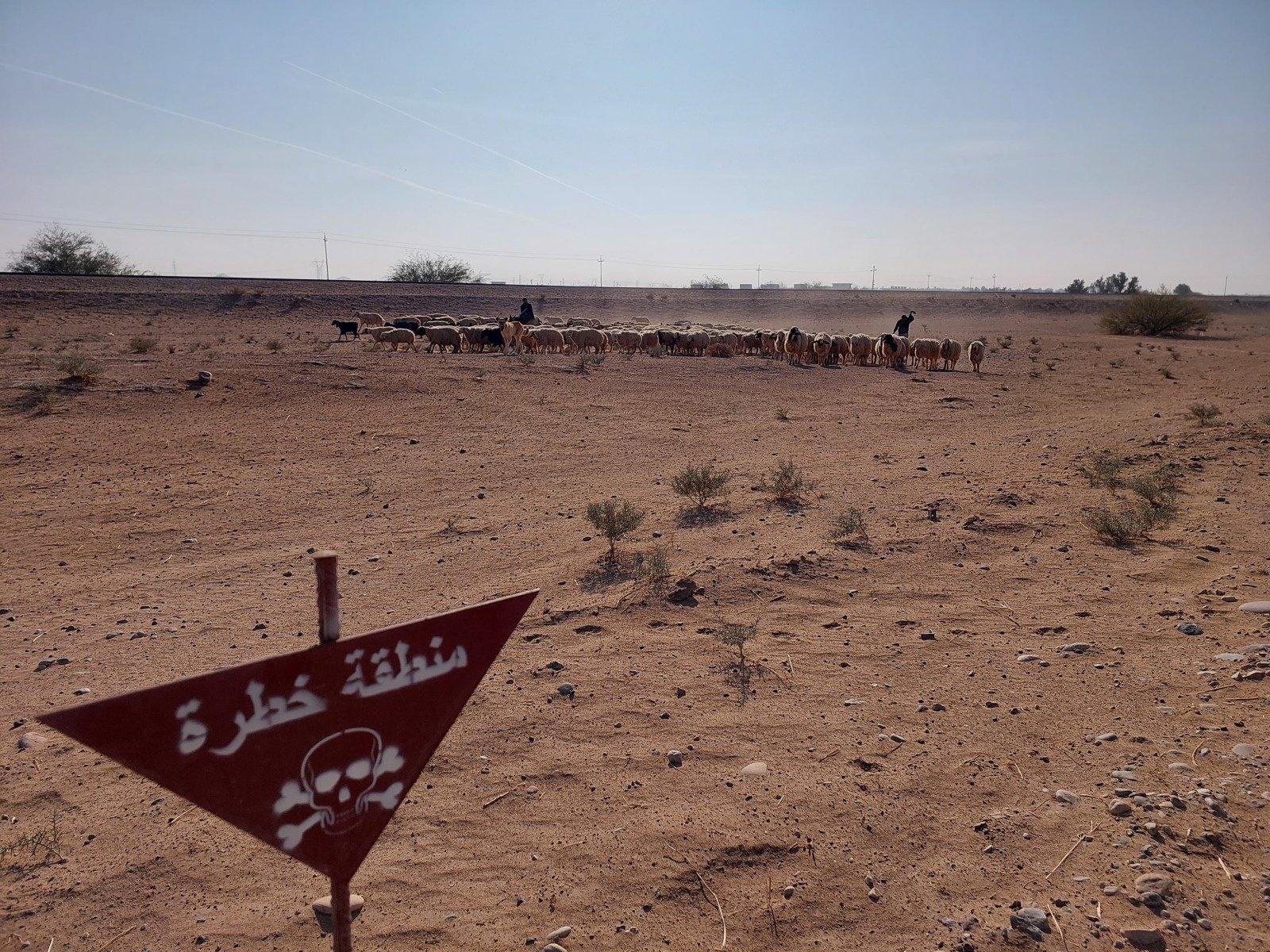 Walking Into Danger: Mine Clearance in Iraq