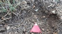 Israeli landmine in the dirt found in the village of Btater in the Aley district of Lebanon and marked with a red triangle by the HI demining team. 