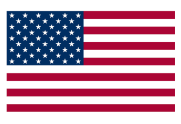 American flag logo