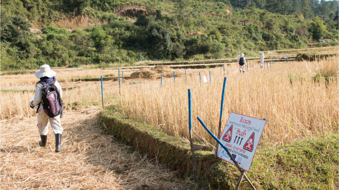 Demining operation in Laos. 