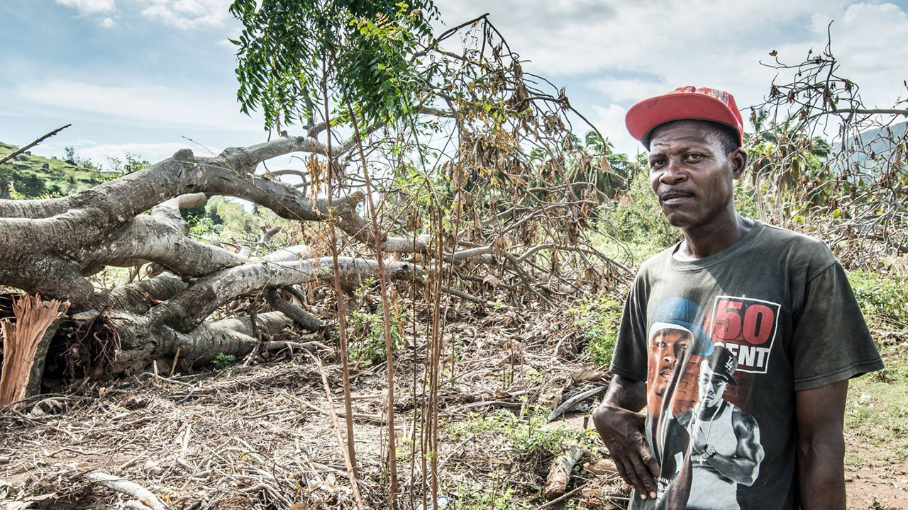 The villages of Saint-Louis-du-Sud and Cavaillon, near Les Cayes (the main city of sud province) have lost their harvests. Jean-Claude has lost his entire manioc crop.