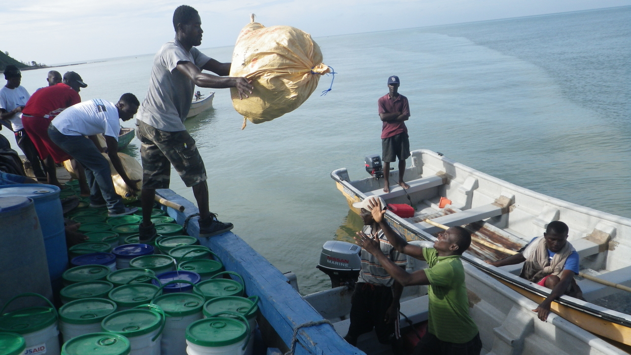 First transport by sea organized at the end of October via the logistics platform set up by Handicap International.