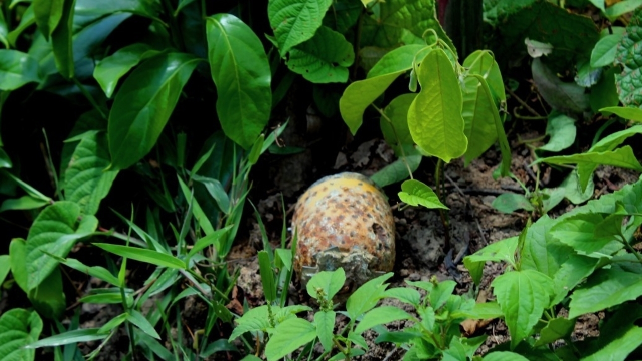 A sub-munition found by Handicap International’s teams in Laos.