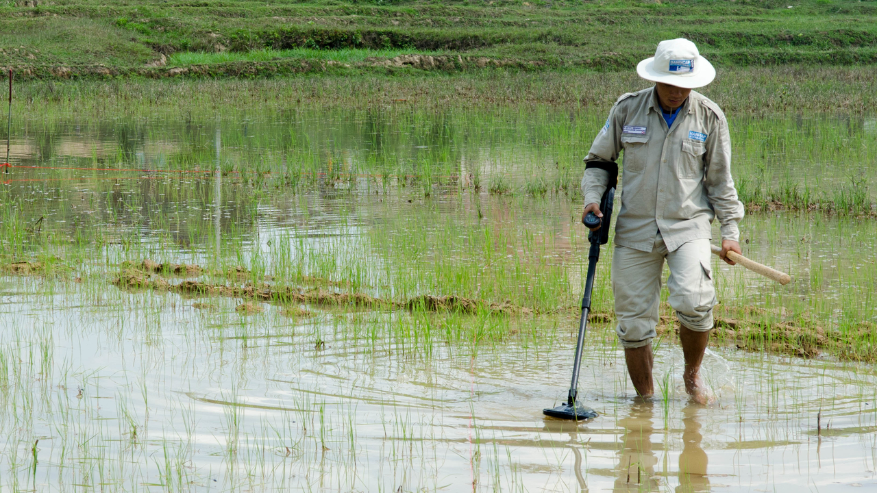 A deminer from Handicap International's team searching for cluster bombs in a rice field.