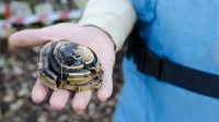 A Handicap International deminer holds part of a failed landmine. 