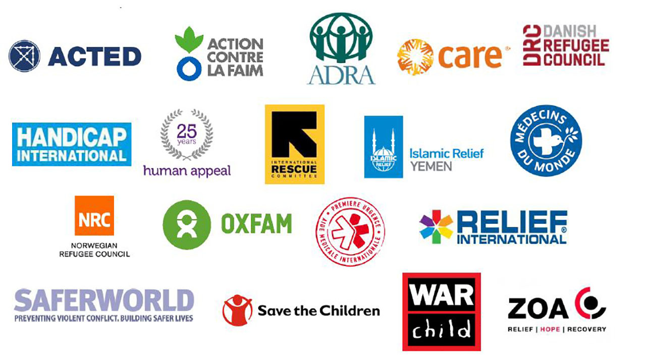 Handicap International Aid Agencies