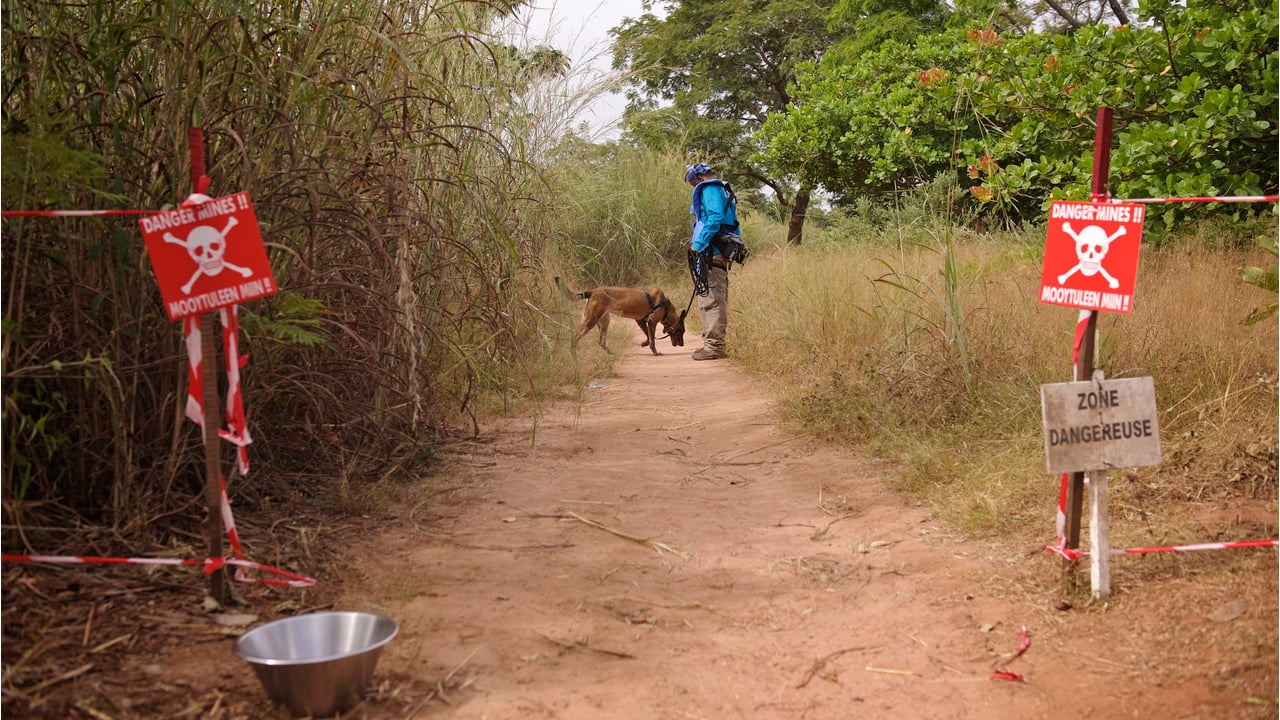  Jonathan Matambo, dog handler and deminer and Katja, mine detection dog in Diagnon.