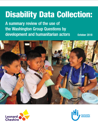 Disability Data Collection report